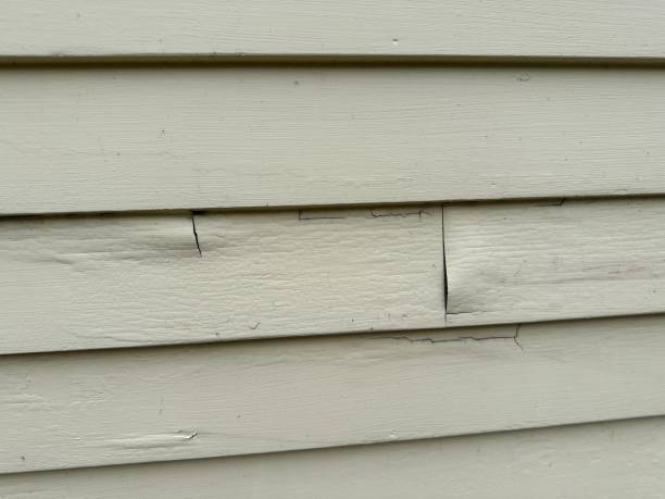 How To Choose The Right Materials for Your Siding Installation in 'Ahuimanu, HI